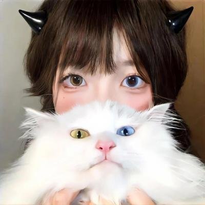 西藏班